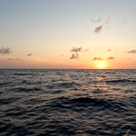 Beau & Brandy Sailing Banner Image