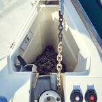 yacht-51779591 image-5