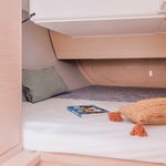 yacht-Dufour 37-image-2