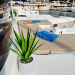 yacht-73035030 image-6
