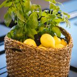 yacht-Sunreef 60-image-6