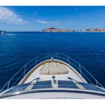 yacht-Prestige 36 Fly-image-17